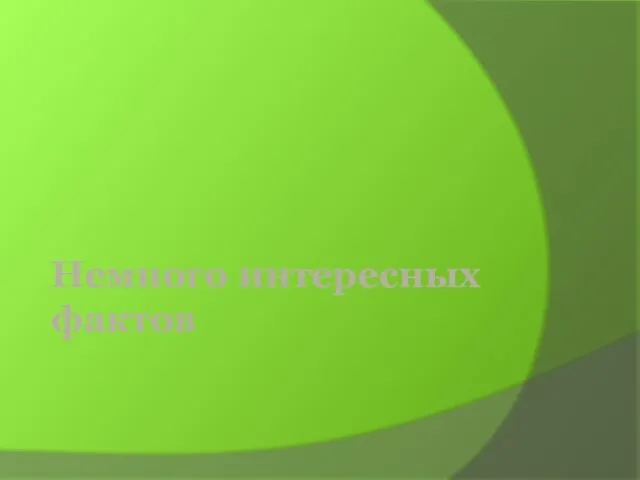 Немного интересных фактов