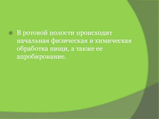 В ротовой полости происходит начальная физическая и химическая обработка пищи, а также ее апробирование.