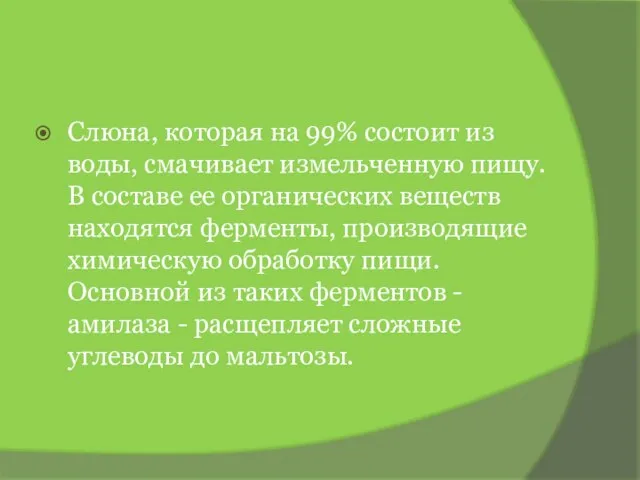 Слюна, которая на 99% состоит из воды, смачивает измельченную пищу. В составе