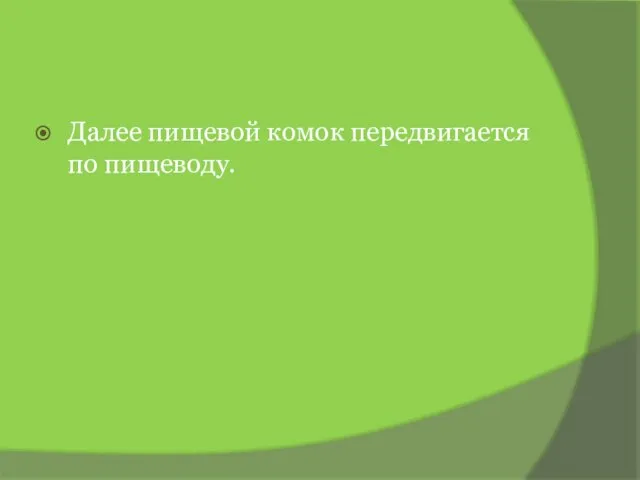 Далее пищевой комок передвигается по пищеводу.