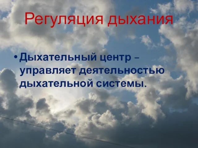 Регуляция дыхания Дыхательный центр – управляет деятельностью дыхательной системы.