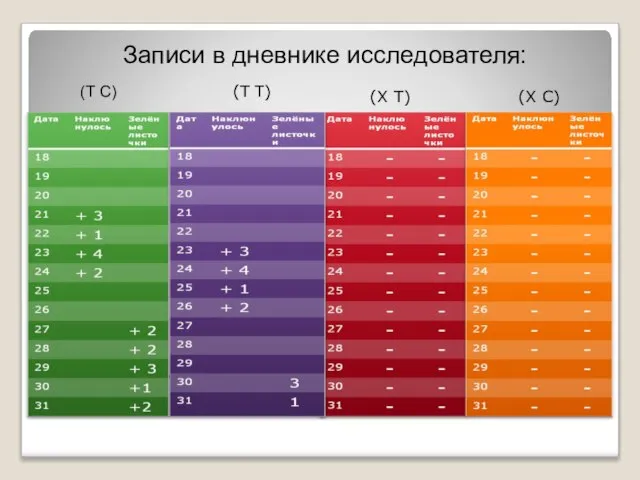 Записи в дневнике исследователя: Записи в дневнике исследователя: (Т Т) (Х Т) (Х С) (Т С)