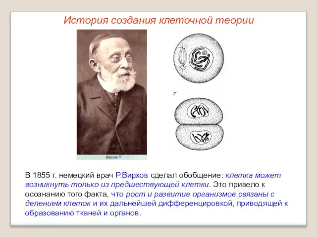 В 1855 г. немецкий врач Р.Вирхов сделал обобщение: клетка может возникнуть только