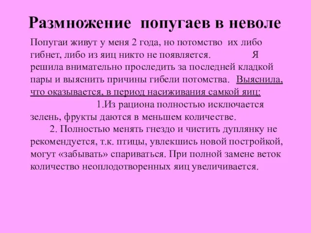 Размножение попугаев в неволе Попугаи живут у меня 2 года, но потомство