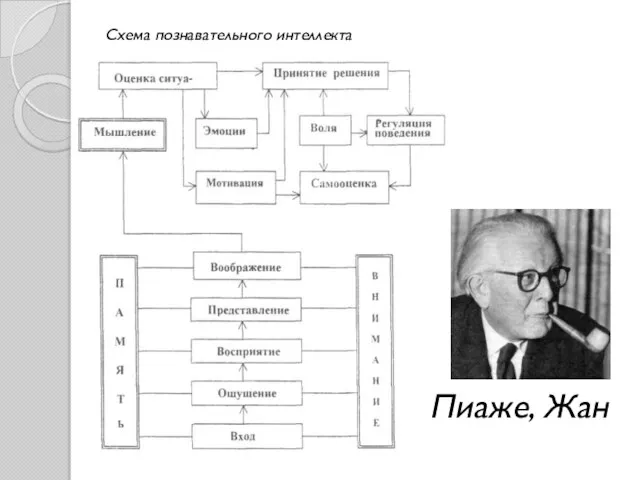 Пиаже, Жан Схема познавательного интеллекта