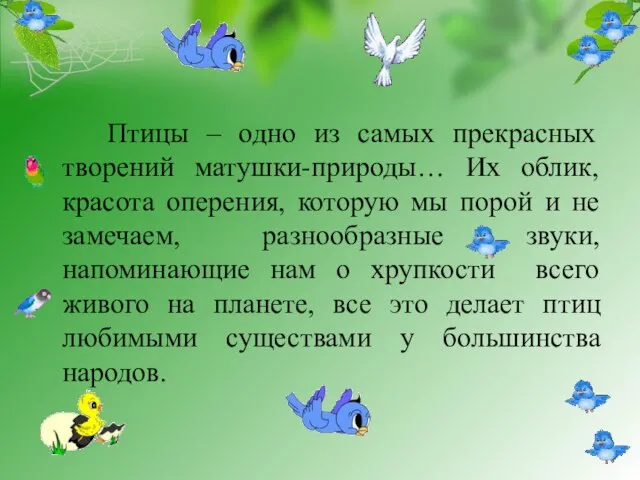 Птицы – одно из самых прекрасных творений матушки-природы… Их облик, красота оперения,