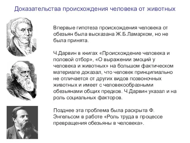 Впервые гипотеза происхождения человека от обезьян была высказана Ж.Б.Ламарком, но не была