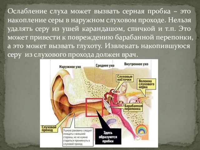 Ослабление слуха может вызвать серная пробка – это накопление серы в наружном