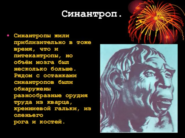 Синантроп. Синантропы жили приблизительно в тоже время, что и питекантропы, но объём