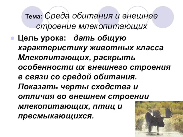 Тема: Среда обитания и внешнее строение млекопитающих Цель урока: дать общую характеристику