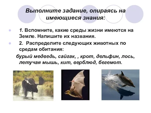 Выполните задание, опираясь на имеющиеся знания: 1. Вспомните, какие среды жизни имеются