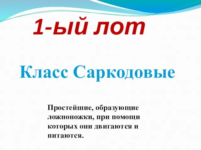 1-ый лот Класс Саркодовые Простейшие, образующие ложноножки, при помощи которых они двигаются и питаются.