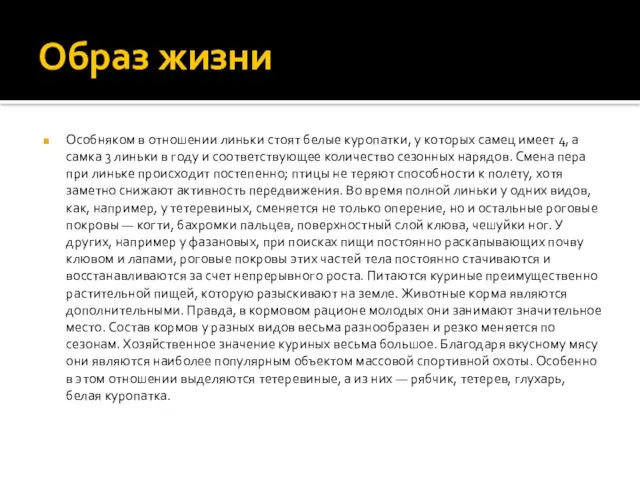 Образ жизни Особняком в отношении линьки стоят белые куропатки, у которых самец