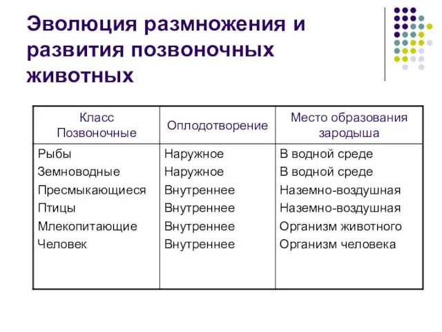 Эволюция размножения и развития позвоночных животных