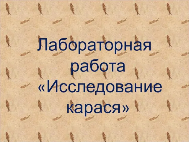 Лабораторная работа «Исследование карася»