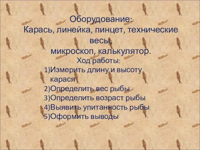 Ход работы: Измерить длину и высоту карася Определить вес рыбы Определить возраст