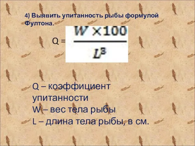 4) Выявить упитанность рыбы формулой Фултона. Q – коэффициент упитанности W –