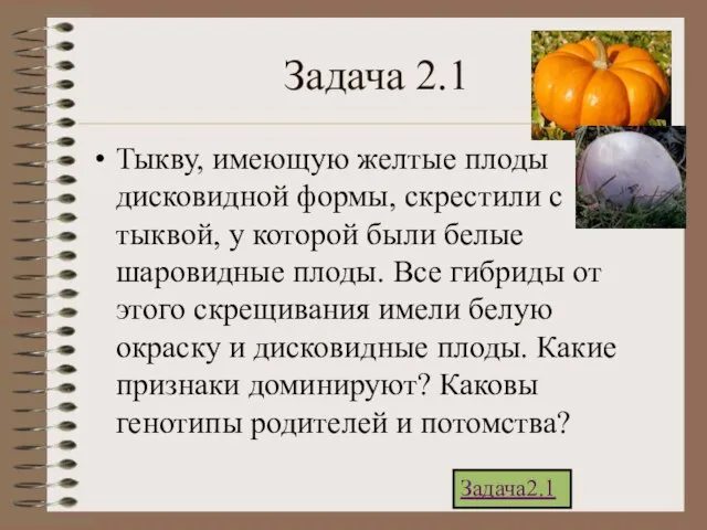 Задача 2.1 Тыкву, имеющую желтые плоды дисковидной формы, скрестили с тыквой, у