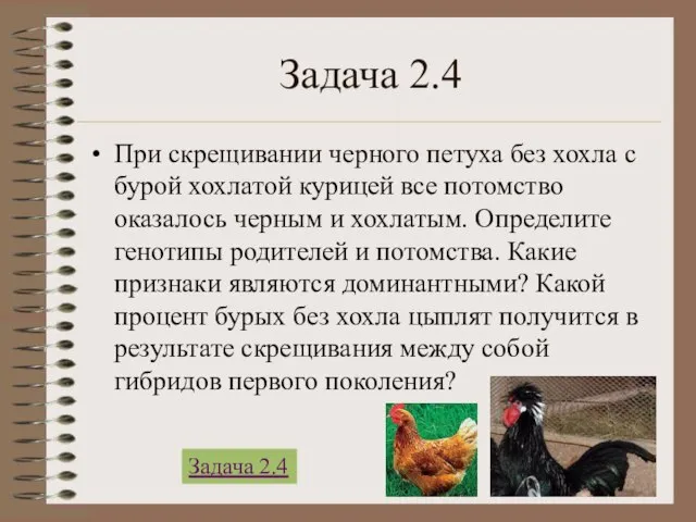 Задача 2.4 При скрещивании черного петуха без хохла с бурой хохлатой курицей