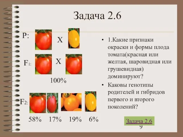 Задача 2.6 1.Какие признаки окраски и формы плода томата(красная или желтая, шаровидная