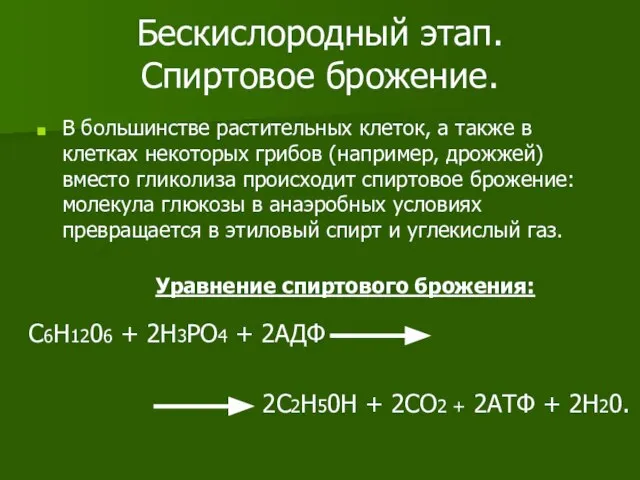 Бескислородный этап. Спиртовое брожение. В большинстве растительных клеток, а также в клетках