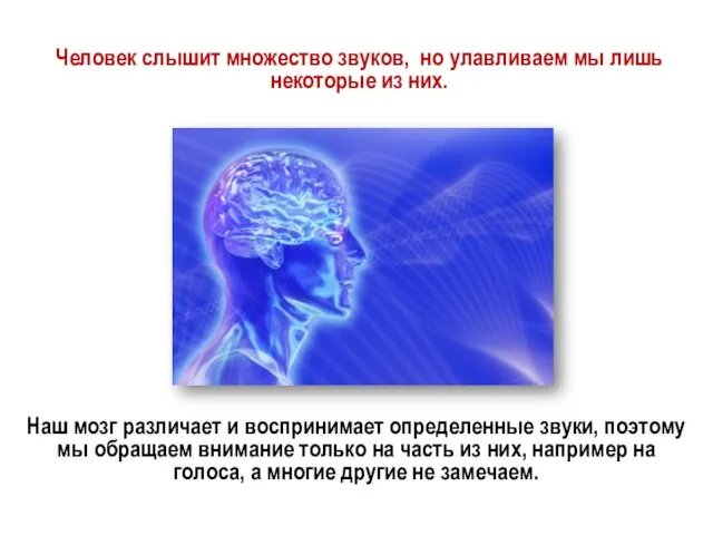 Человек слышит множество звуков, но улавливаем мы лишь некоторые из них. Наш