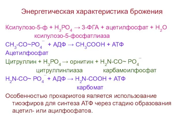 Энергетическая характеристика брожения Ксилулозо-5-ф + Н3РО4 → 3-ФГА + ацетилфосфат + Н2О