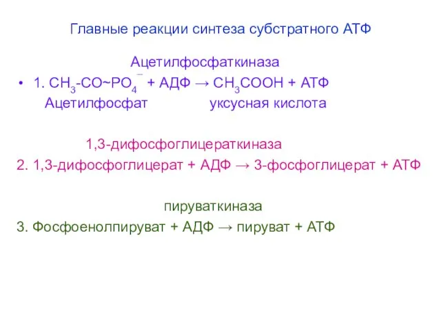 Главные реакции синтеза субстратного АТФ Ацетилфосфаткиназа 1. СН3-СО~РО4¯ + АДФ → СН3СООН