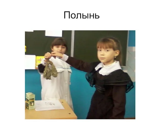 Полынь