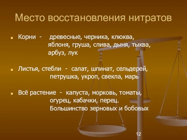 Место восстановления нитратов Корни - древесные, черника, клюква, яблоня, груша, слива, дыня,