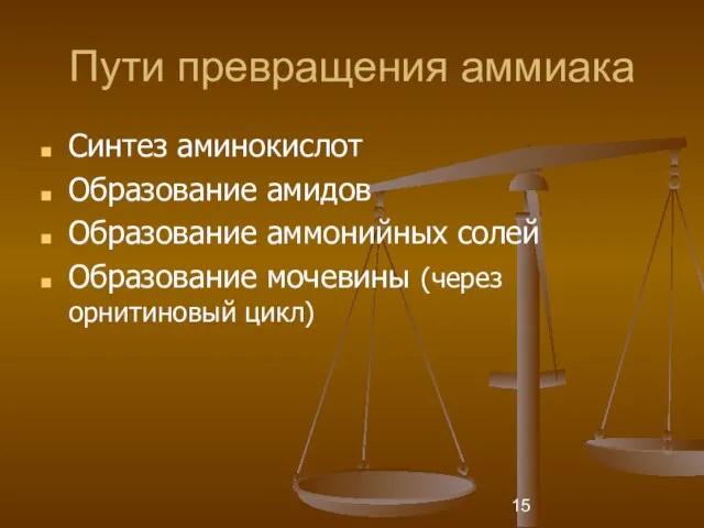 Пути превращения аммиака Синтез аминокислот Образование амидов Образование аммонийных солей Образование мочевины (через орнитиновый цикл)