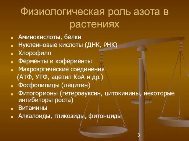 Физиологическая роль азота в растениях Аминокислоты, белки Нуклеиновые кислоты (ДНК, РНК) Хлорофилл