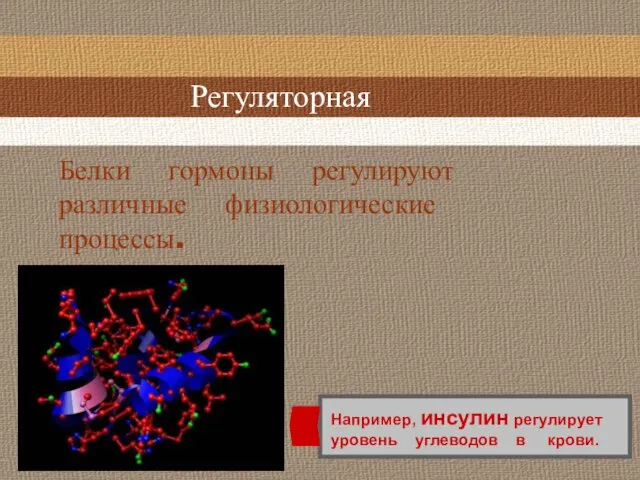 Регуляторная Белки гормоны регулируют различные физиологические процессы. Например, инсулин регулирует уровень углеводов в крови.