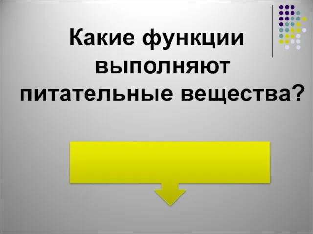 Какие функции выполняют питательные вещества?