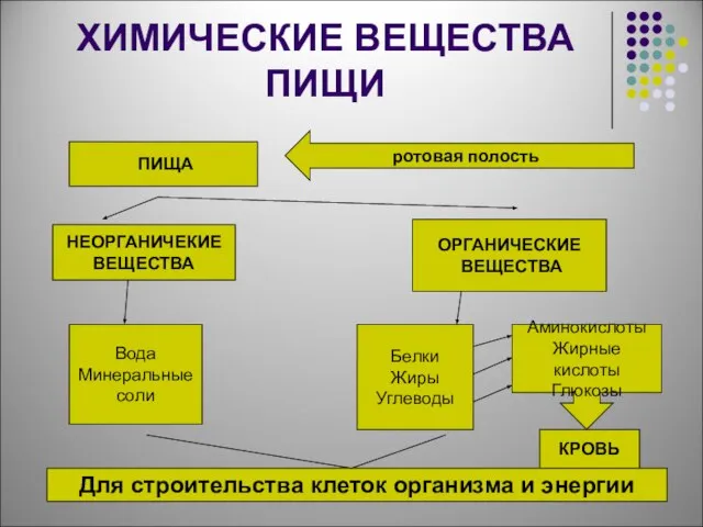 ХИМИЧЕСКИЕ ВЕЩЕСТВА ПИЩИ ПИЩА ротовая полость НЕОРГАНИЧЕКИЕ ВЕЩЕСТВА ОРГАНИЧЕСКИЕ ВЕЩЕСТВА Вода Минеральные