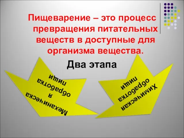 Пищеварение – это процесс превращения питательных веществ в доступные для организма вещества.