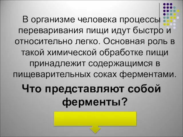 В организме человека процессы переваривания пищи идут быстро и относительно легко. Основная