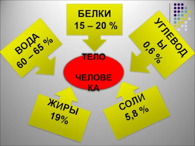 ТЕЛО ЧЕЛОВЕКА БЕЛКИ 15 – 20 % ВОДА 60 – 65 %