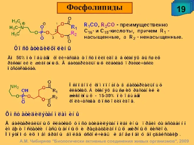 А.М. Чибиряев "Биологически активные соединения живых организмов", 2009 19 Фосфолипиды