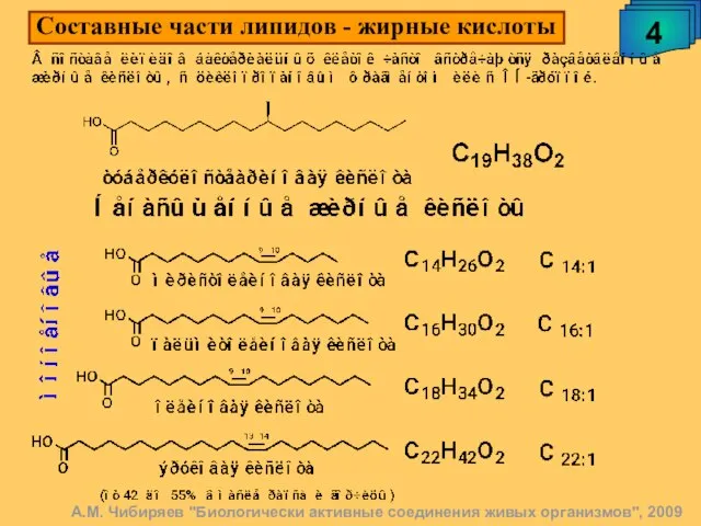 Составные части липидов - жирные кислоты А.М. Чибиряев "Биологически активные соединения живых организмов", 2009 4