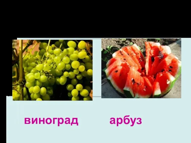 Ягода виноград арбуз