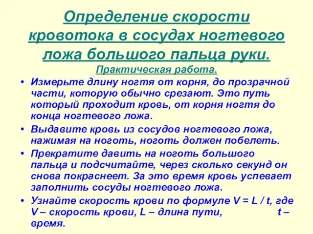 Определение скорости кровотока в сосудах ногтевого ложа большого пальца руки. Практическая работа.