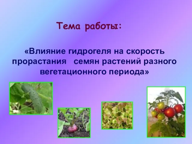 «Влияние гидрогеля на скорость прорастания семян растений разного вегетационного периода» Тема работы: