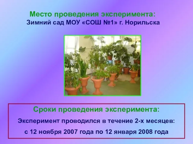 Место проведения эксперимента: Зимний сад МОУ «СОШ №1» г. Норильска Сроки проведения