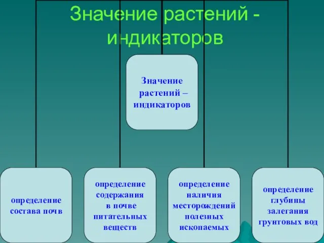 Значение растений - индикаторов