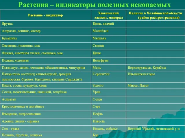 Растения – индикаторы полезных ископаемых