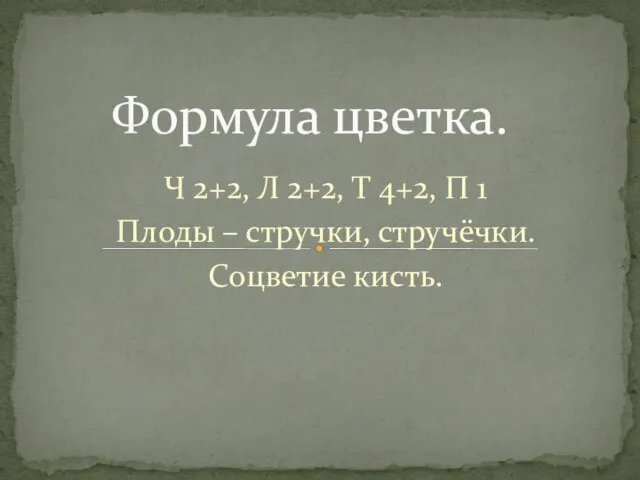 Ч 2+2, Л 2+2, Т 4+2, П 1 Плоды – стручки, стручёчки. Соцветие кисть. Формула цветка.