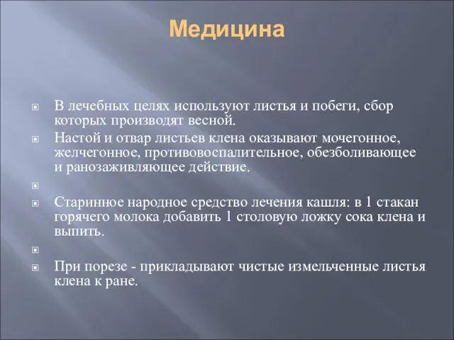 Медицина В лечебных целях используют листья и побеги, сбор которых производят весной.