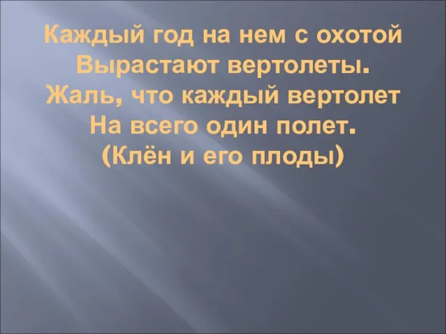 Каждый год на нем с охотой Вырастают вертолеты. Жаль, что каждый вертолет