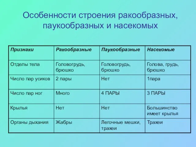 Особенности строения ракообразных, паукообразных и насекомых